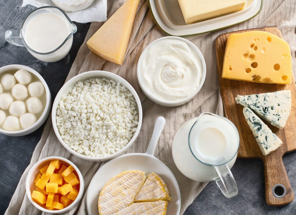 what is considered dairy products key examples