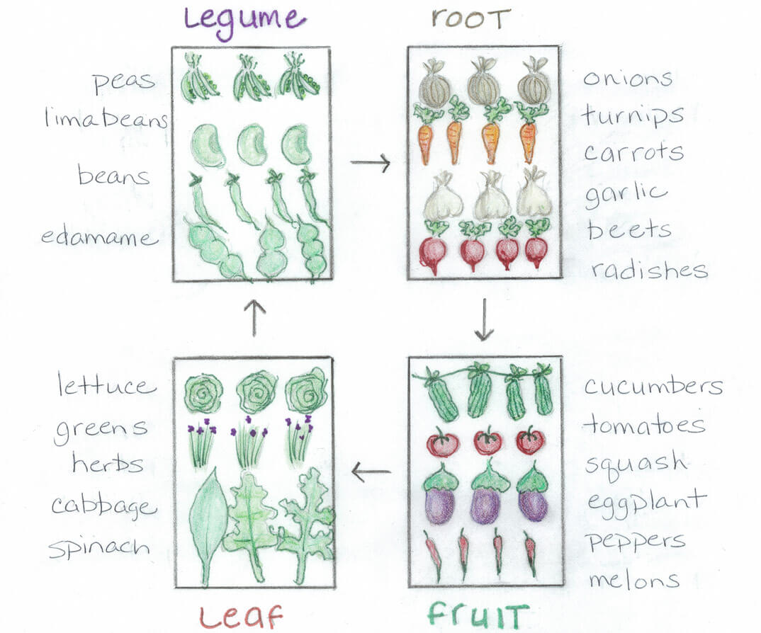 what is crop rotation key examples explained