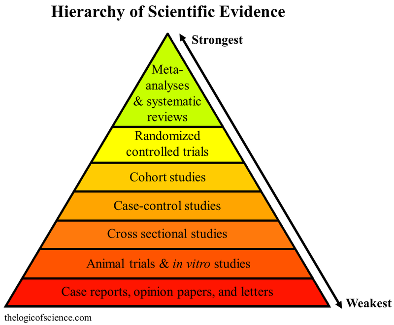 what is grey literature key examples explained