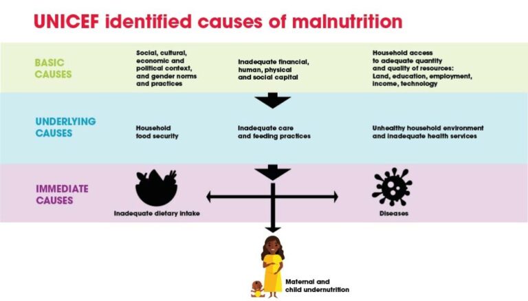 What Is Hidden Hunger: Key Examples Explained