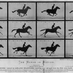 What Is Movement in Photography: Key Examples what is movement in photography key examples