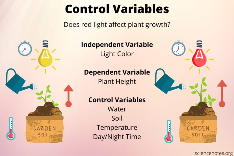 Key Experiments What Is the Control in an Experiment: Key Examples