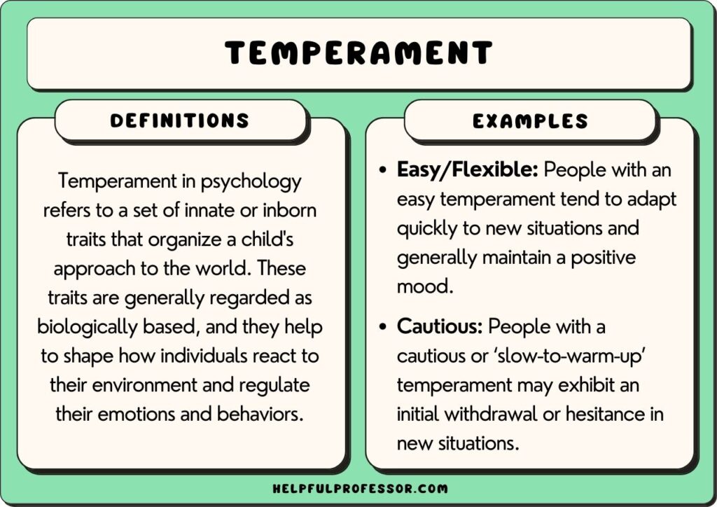 what temperament refers to key examples