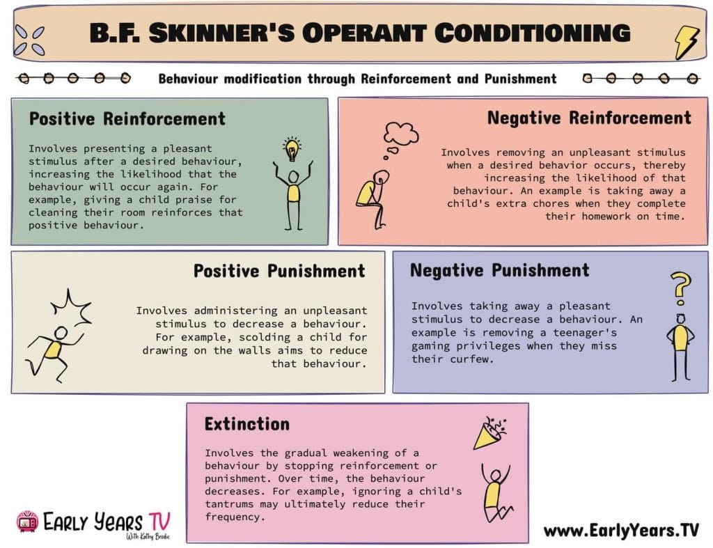 which examples utilize a primary reinforcer key insights