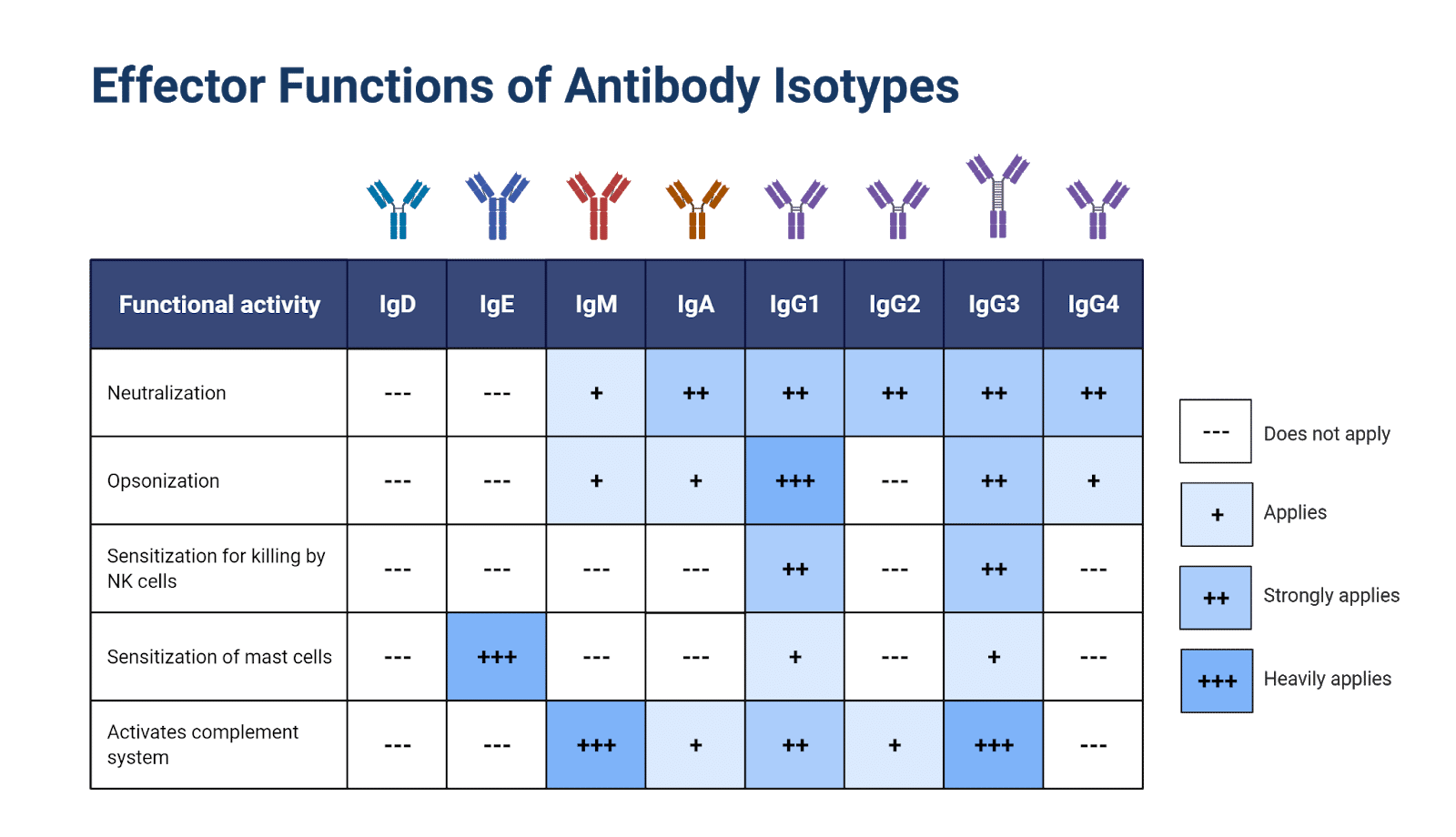 which immunoglobulin is not a class of antibody
