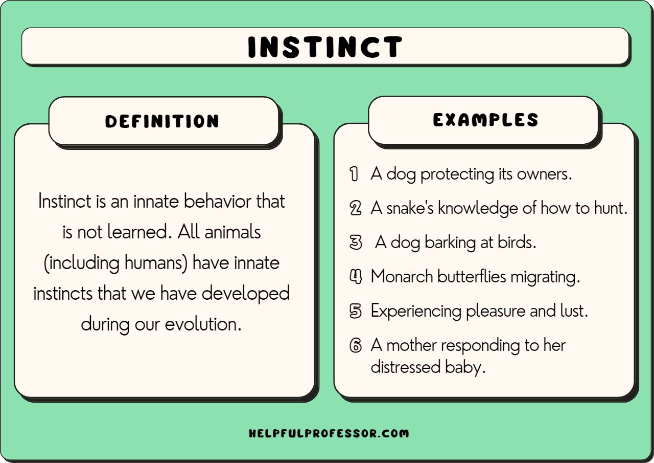 which of the following is an example of instinct explained