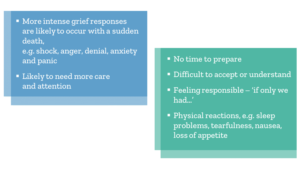 which reactions are examples of bereavement understanding grief