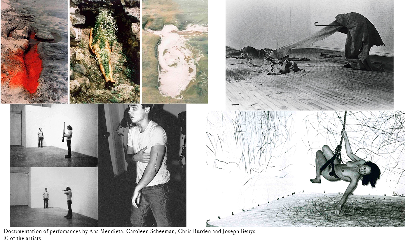 works of joseph beuys and ana mendieta as art examples