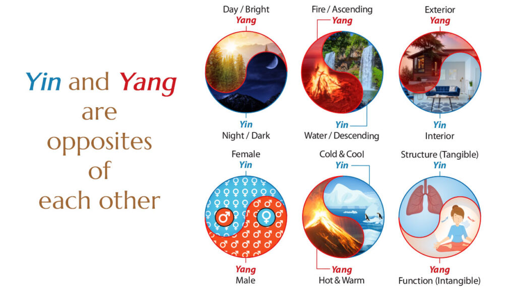 yin yang examples in life and nature
